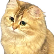 闪电小子爽歪歪