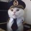 Captain Kitten