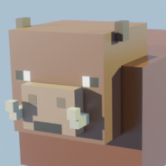 caban40