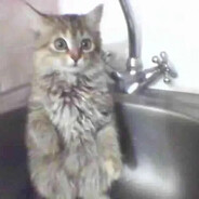 smurk_fan - steam id 76561198103547497