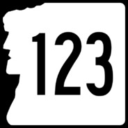 123