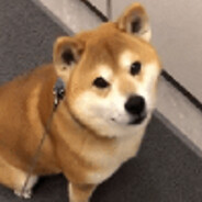 Derdoge