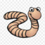 Worm26