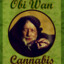 Obi Wan Cannabis