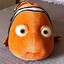 PROCURANDO NEMO