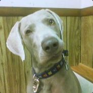 rbSpiritZ - steam id 76561197970562725