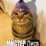 Пупся