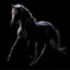 Blackarrow5134