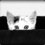 PeeK-A-BoO