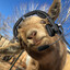 Goatiaz.