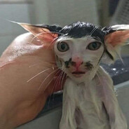 Mr Лысый глобус