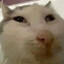 Ofjdmwi