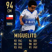 MIGUELITO TOTS PRIME™ "94 CM