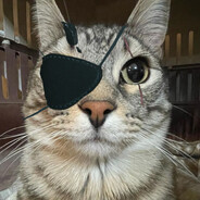 Tomcatfish
