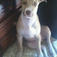 EL TIEMPO TIENE LA LLAVE (17)