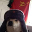NãoTemDublê