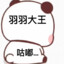 羽宝宝