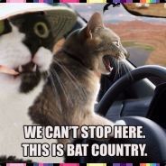 Bat-Country