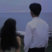 白头并非雪可替