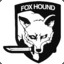 FoxHound