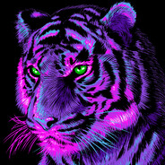 ↞𝕋𝕚𝕘𝕖𝕣↠
