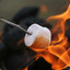 Burning Marshmallow