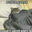 кассир виталик
