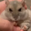lil chum