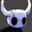 The Hollow Knight