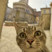 单走一张是joker