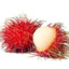 Rambutan Berbulu