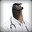 Dr. Gerald