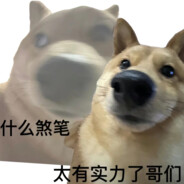 不要给我哇哇叫