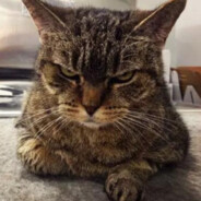 伏地魔不啃大瓜