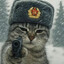товарищи