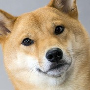 чикибамdoge