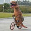 Doxisaurus Rex