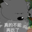 狼村小肥狼