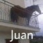 JUAN el caballo