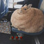 Chungus