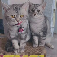 我曾经过你的心