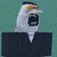 TIMHAWKTUAH
