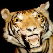 TIGR