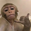 monkey 3