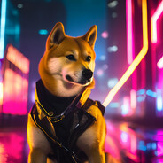 shiba