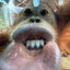 keesh
