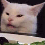 matrix avatar