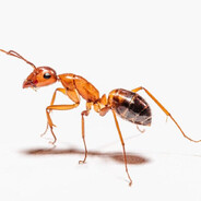 _ - steam id 76561198846836150