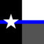 iiTexas_Lead