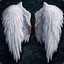 Wings of Hope